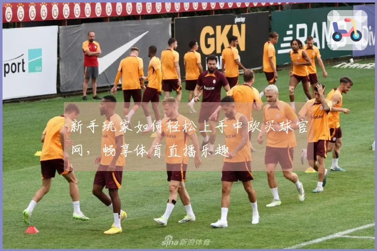 新手玩家如何轻松上手中欧买球官网，畅享体育直播乐趣