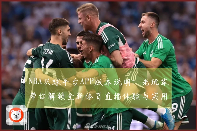 NBA买球平台APP版本说明:老玩家带你解锁全新体育直播体验与实用功能