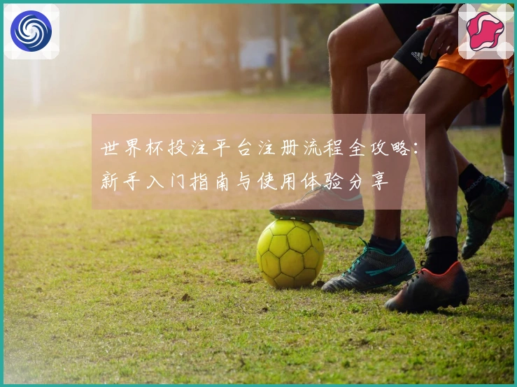 世界杯投注平台注册流程全攻略：新手入门指南与使用体验分享