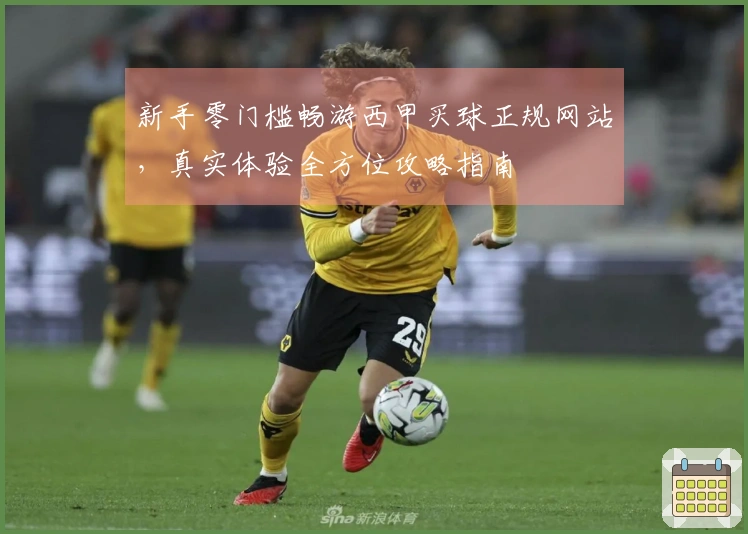 新手零门槛畅游西甲买球正规网站，真实体验全方位攻略指南