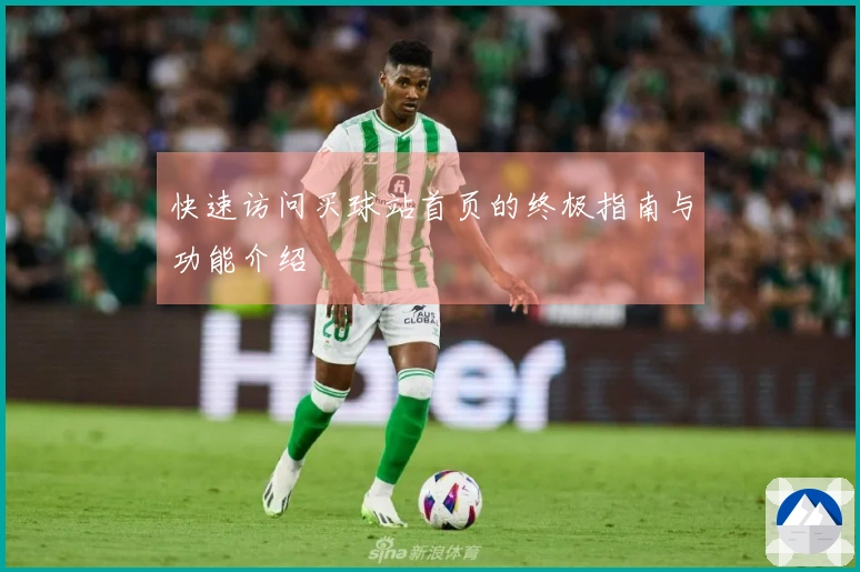 快速访问买球站首页的终极指南与功能介绍