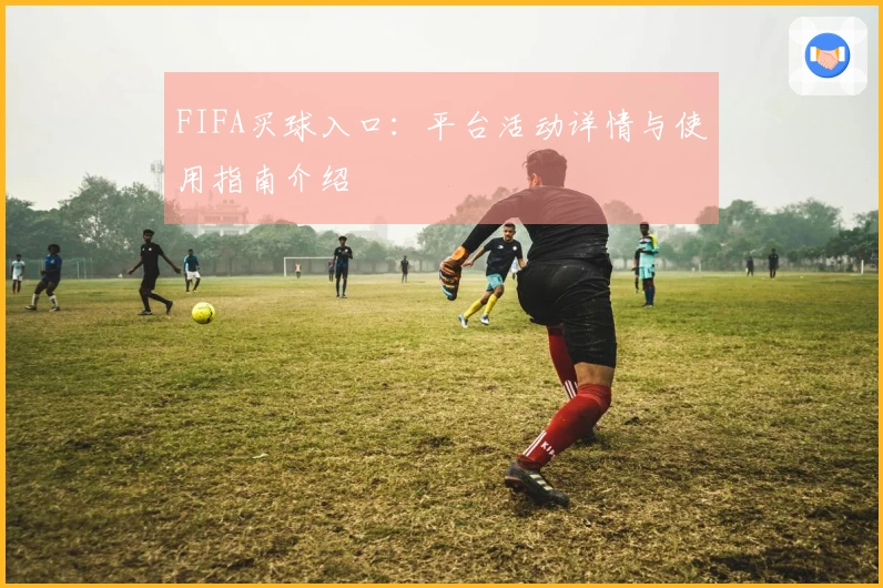 FIFA买球入口：平台活动详情与使用指南介绍