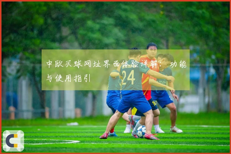中欧买球网址界面体验详解：功能与使用指引