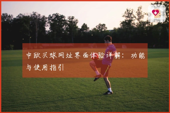 中欧买球网址界面体验详解：功能与使用指引