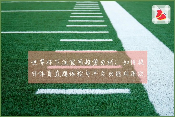 世界杯下注官网趋势分析：如何提升体育直播体验与平台功能利用效率